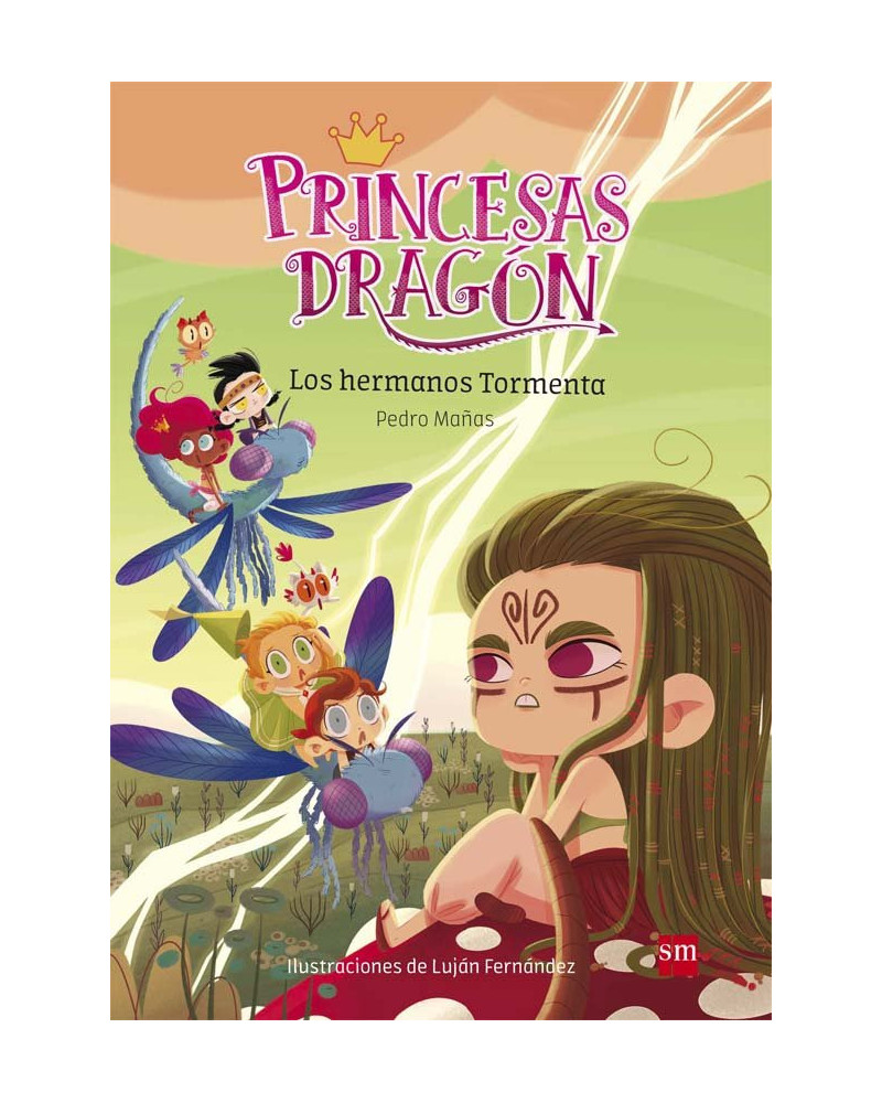 Princesas dragón 5 - Los hermanos tormenta