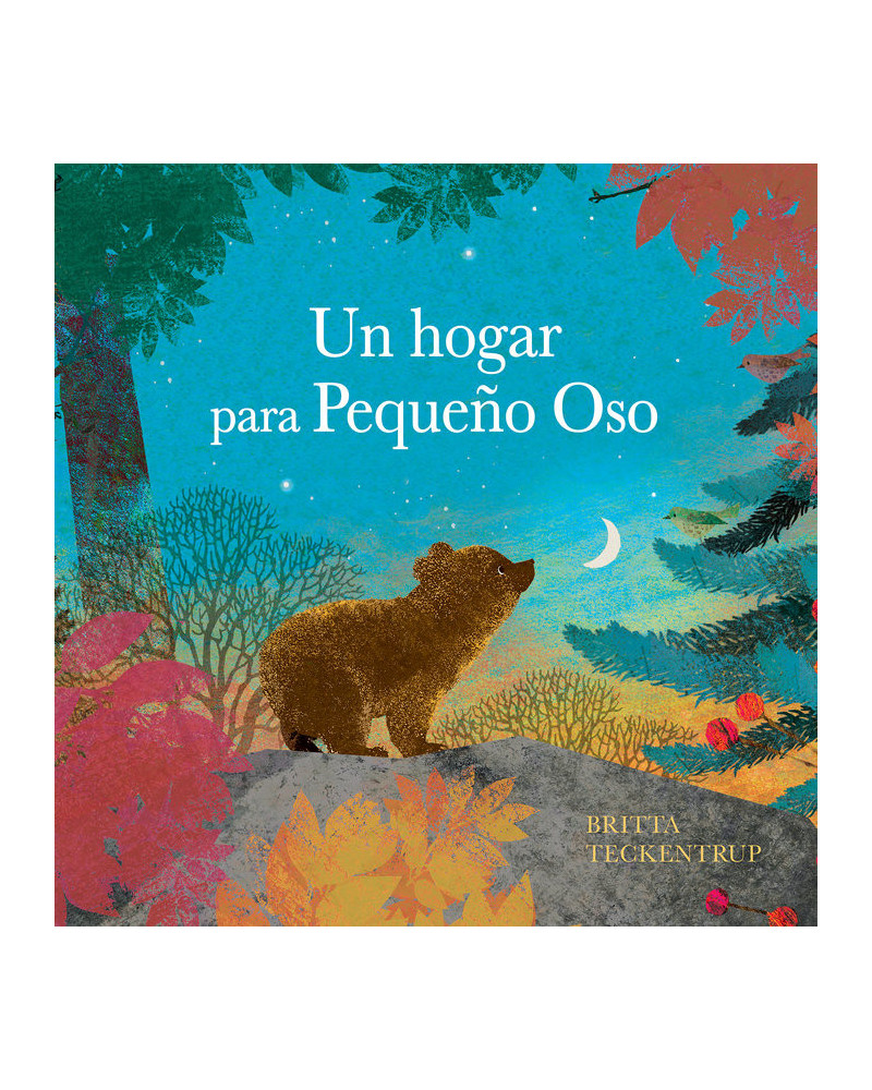 Un hogar para Pequeño Oso