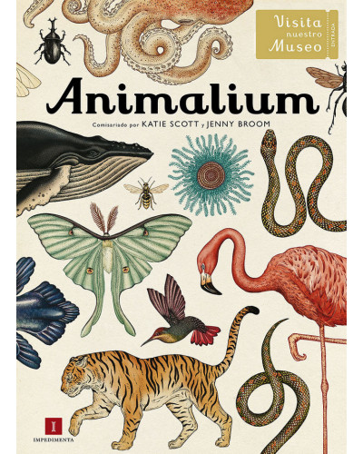 Animalium