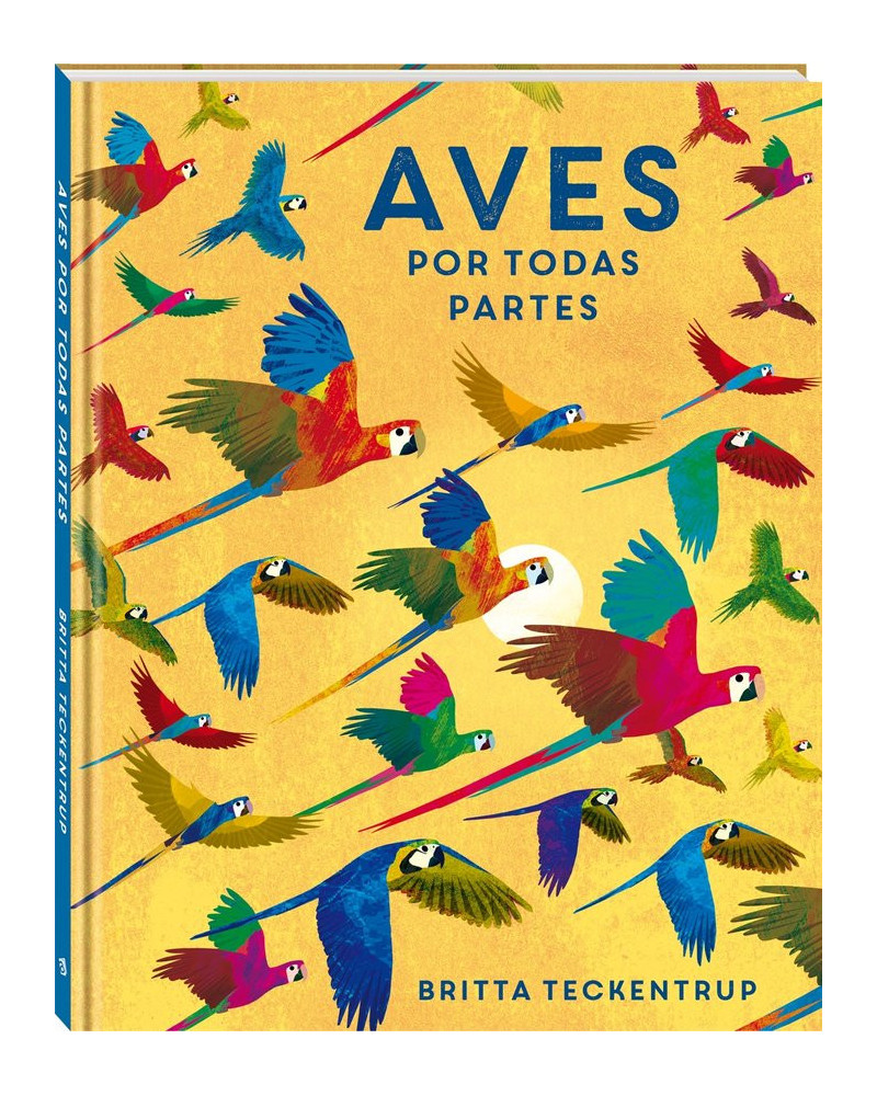 Aves por todas partes